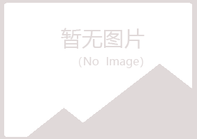 吉林山柳化学有限公司